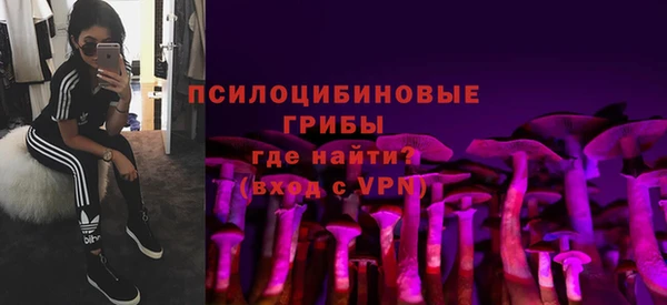 СК Пролетарск