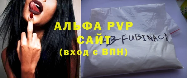индика Приозерск
