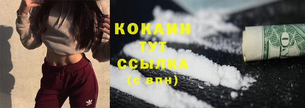 гидра Каменка