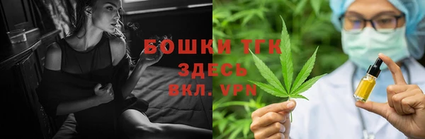 сатива Зерноград
