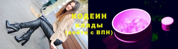 круглые Иннополис
