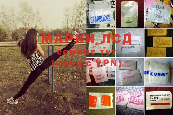 сатива Зерноград