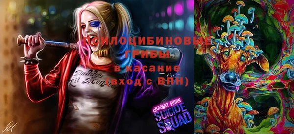 мефедрон Каменногорск